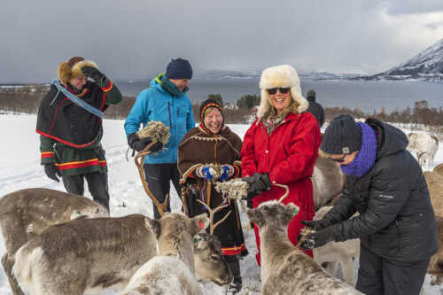Laila og gjester sammen med reinsdyr på vinteren