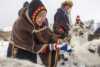 Laila Inga feeds reindeer out in the snow